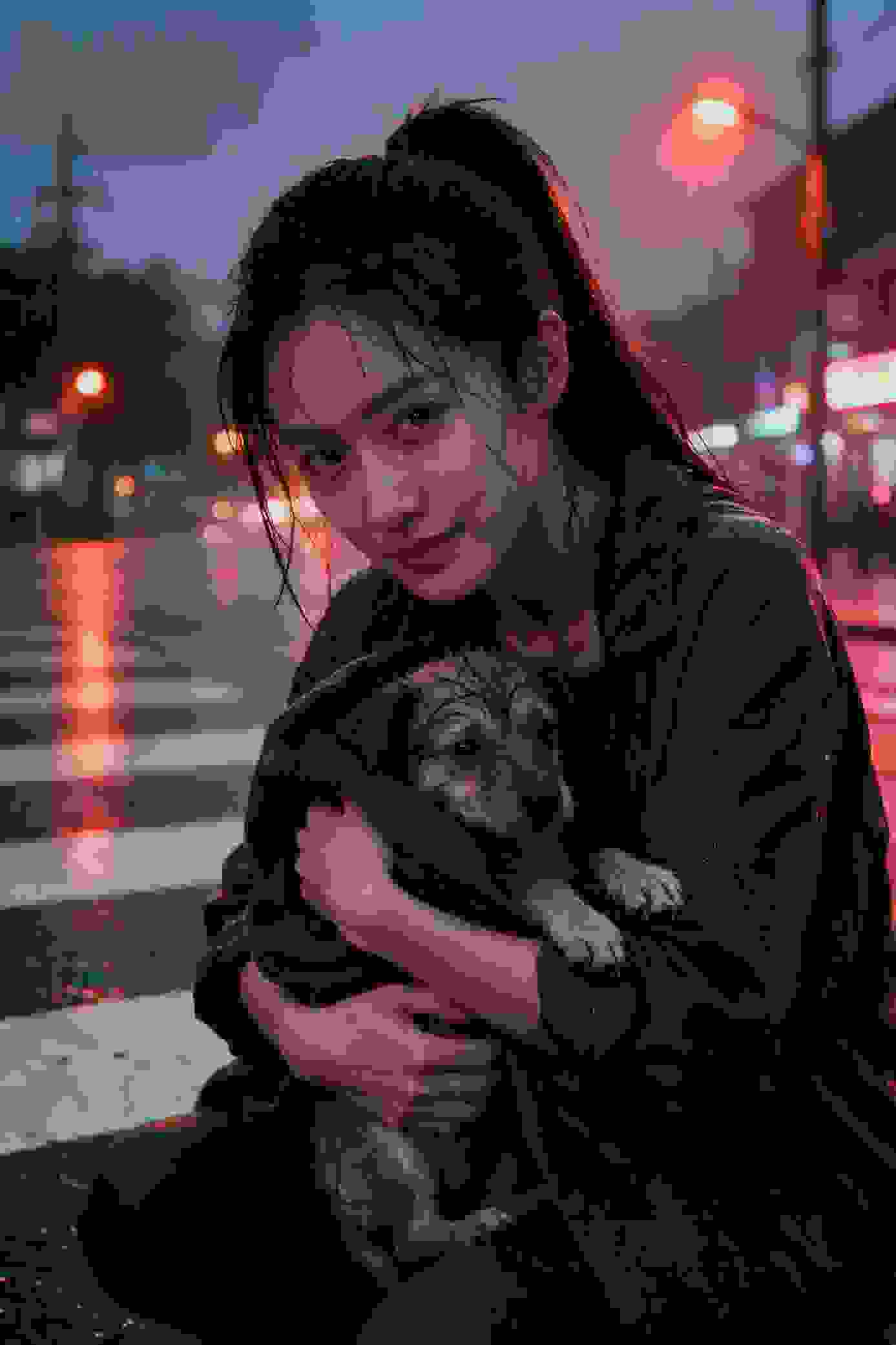 与君歌
